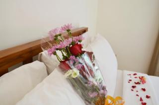 Jas Green Villas and Spa - 1