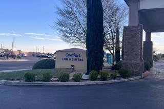 Comfort Inn & Suites Las Cruces Mesilla - 6