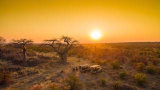 Ghoha Hills Savuti Lodge - Savuti - 6