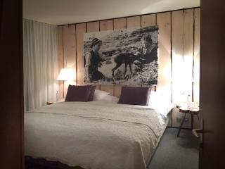 Boutique-Hôtel Chez Jan - Morgins - 2