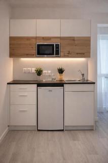 Elegant 2Room Apartment in Central Zurich Balcony Kitchen - 1