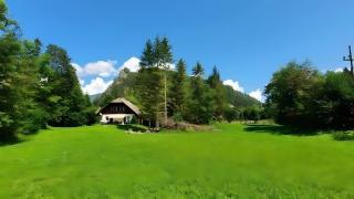 Ferienhaus Roman - 9