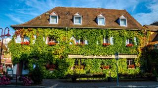 Kaiserstühler-Hof - Breisach am Rhein - 8