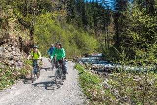 Ferienhaus Nr 14, Kategorie Komfort, Feriendorf Hochbergle, Allgäu - 2