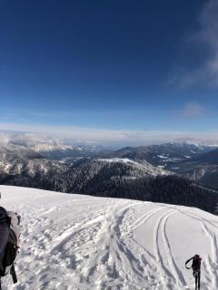 Appartment Isabelle - Kamille - 7