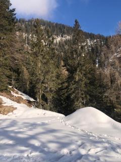 Appartment Isabelle - Kamille - 4