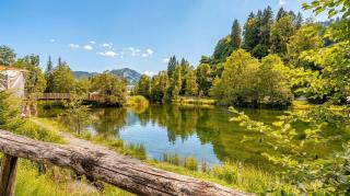 Tiny Water Villa on a Lake Gstaad & Interlaken - 3