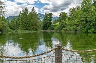 Tiny Water Villa on a Lake Gstaad & Interlaken - 6