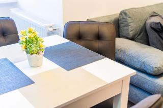 Flexible SelfCheckIns 225 - Zagreb - 1 Bedroom - Centre - 6