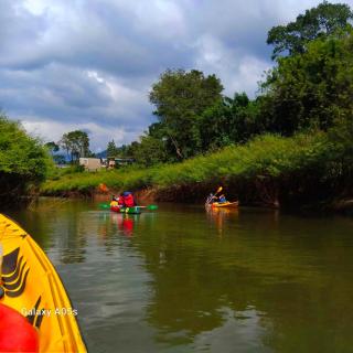 Wild Paradise Camp Belihuloya - 7