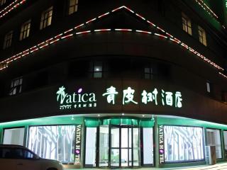 Vatica Tianjin Jinghai Bus Station Home World Plaza Hotel - 7