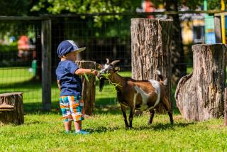 Baby- und Kinderhotel Sonnelino - 5
