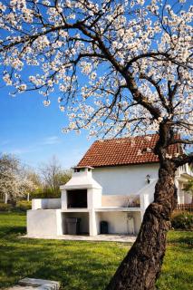 Villa Conceptt casa -  - 8