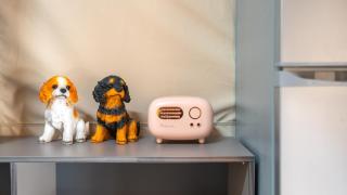 yangpyeong flower caravan pension - 4