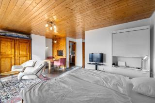 Orion 302 centre du village d Anzere avec vue sur les Alpes - 7