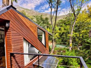 ZenCapeTown Forest Retreat - 4