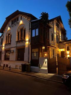 Cismigiu Apartments - 8