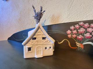 La Rosa del Agua - 2