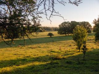 Ferienhaus Steutz - 8