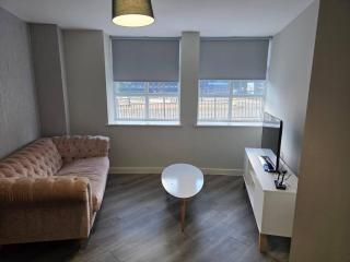 3 bed, 2 bathroom large apartment - 0