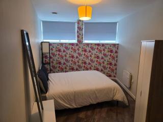 3 bed, 2 bathroom large apartment - 4