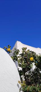 Piccolo Principe Romantic Sicilian Stay - 9