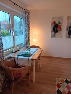 Apart-Lachmoewe-im-Moewennest-Tossens - 9