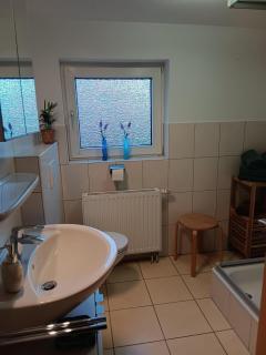 Apart-Lachmoewe-im-Moewennest-Tossens - 6