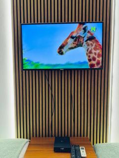 Zulu Apartments and Studios - 6