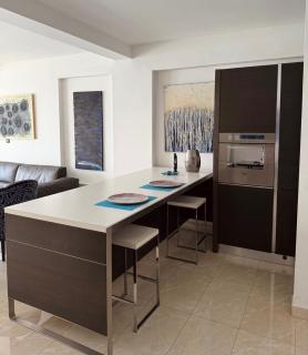 Luxury Sea View Apartment Rafailovići - 4