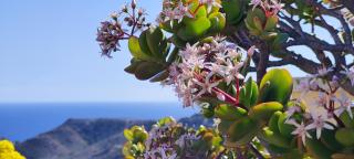Ático Tranquilo Acogedor Vistas al Mar y Parking - 9