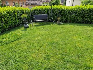 Haus Sonnenschein Bad Säckingen - 4