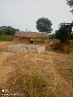 Dalukgala village - 6