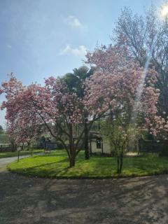 B&B della Stazione - 8