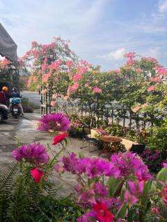 Sapung homestay Bảo Lộc - 6