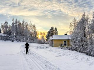 Holiday Home Pikku-puntila by Interhome - 9