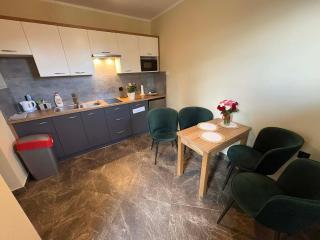 Willa u Kośle Zakopane sauna i bilard - 3