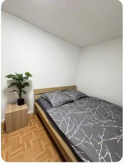Dresden City Center 2 Room Design Appartement - 7