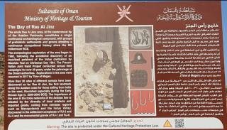 Seeing Turtles At Ras al jinz Hospitality - 8