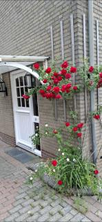 Homestay Maashees - 3