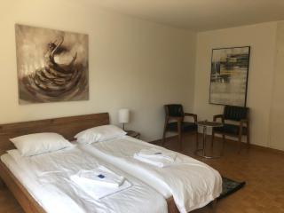 Big studio city center, quite - Marble 4 - 6