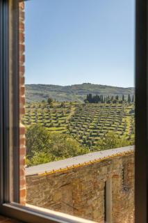 Fattoria di Muciafora - 6