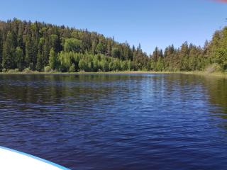 Escape to Nature Swedish Villa - 3