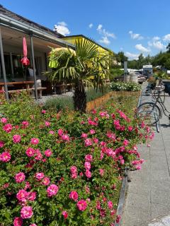 Camping Thörishaus - 1