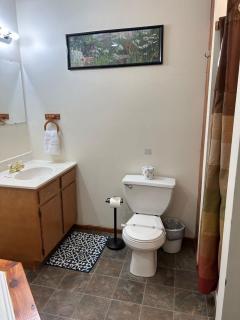 Deluxe Cabin #8 with Jacuzzi on Patoka Lake in Southern Indiana - Mitchell - 3