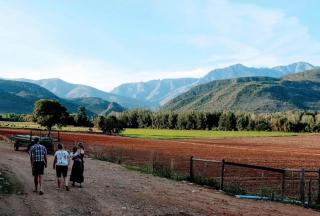 Vredelus Farm Stay Family Cottage - 9