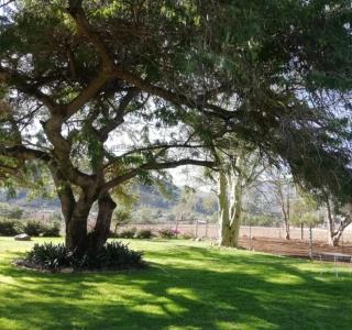 Vredelus Farm Stay Family Cottage - 3