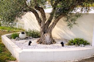 Deppy's Hideaway - 5