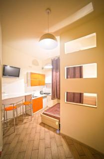 Mini Apartment on Rappoporta 7a-3 - Lviv - 7