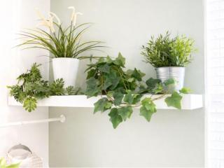 Cosy Bee Freemantle Solent Lodge Stylish Self Catering Smart Lock Close to City Centre Easy Access to Fawley - Southampton - 5